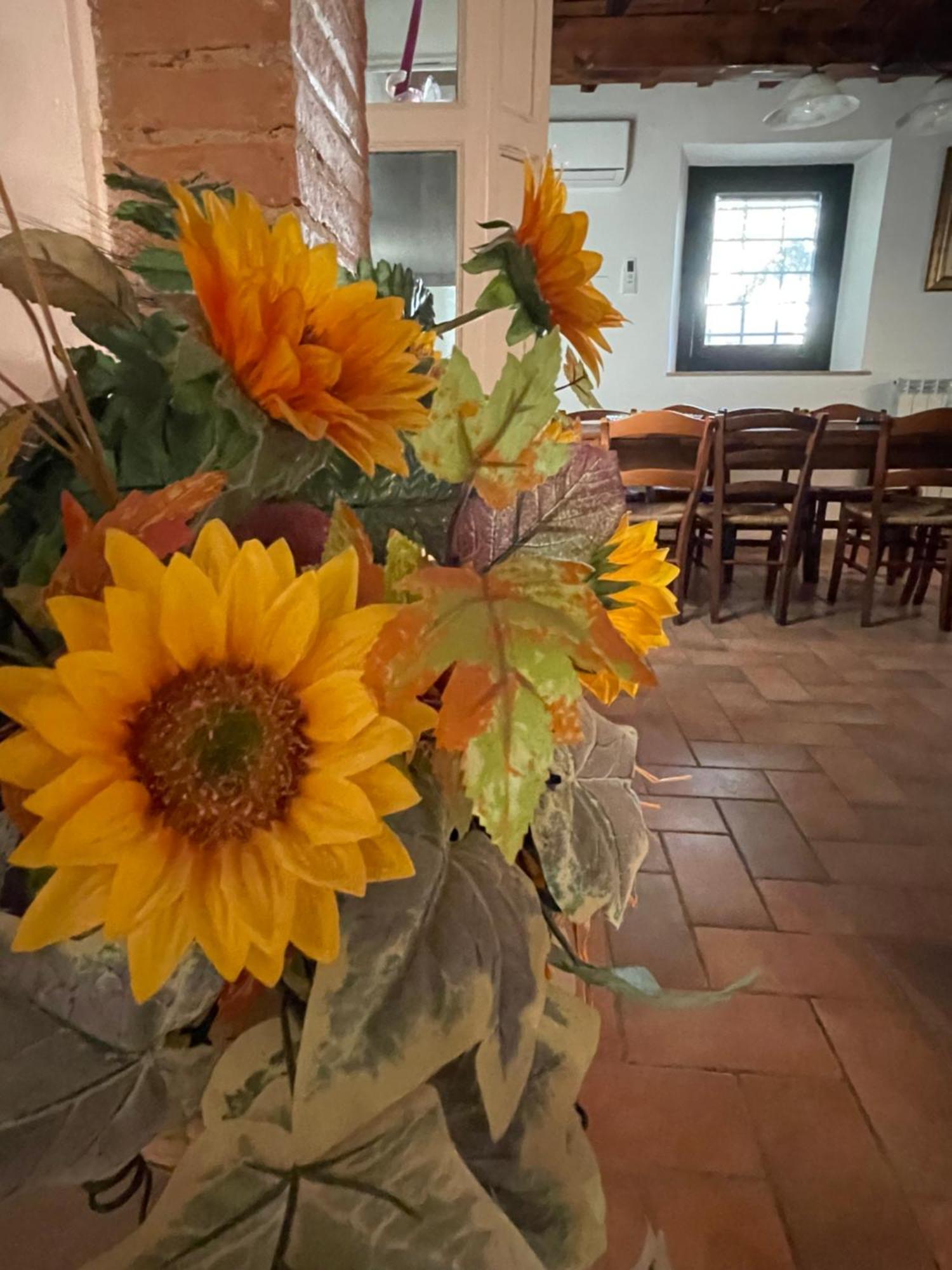 Intero Appartamento Con Private Pool E Jacuzzi Podere Settefrati Montaione Extérieur photo