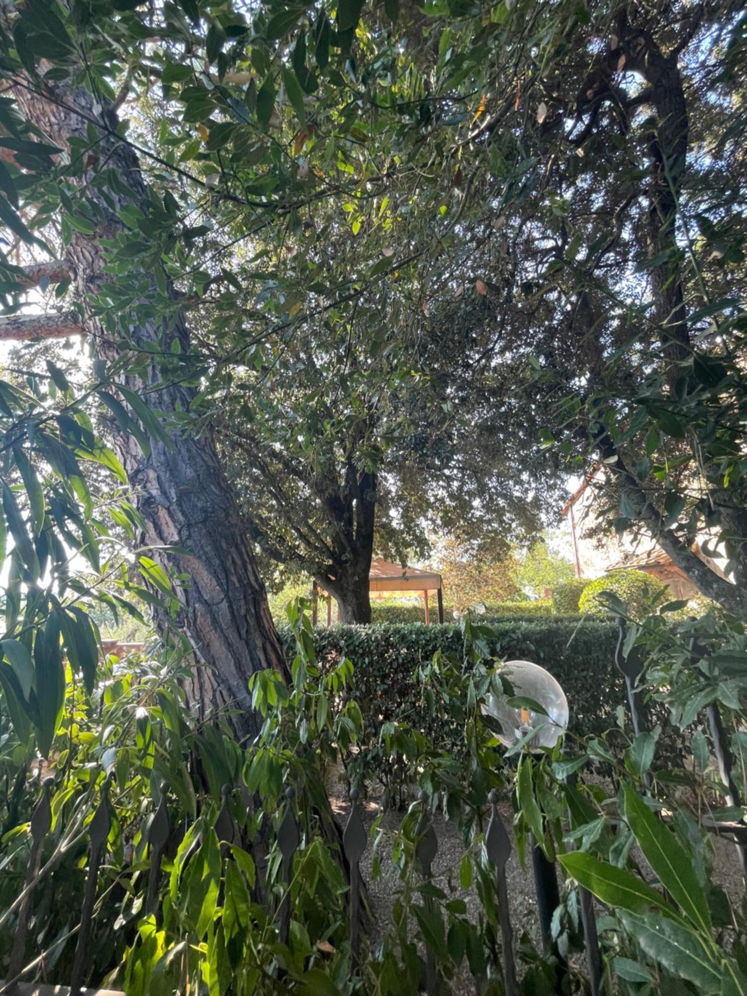 Intero Appartamento Con Private Pool E Jacuzzi Podere Settefrati Montaione Extérieur photo
